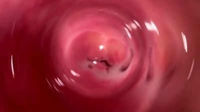 Internal camera inside tight creamy Vagina, Dick's POV