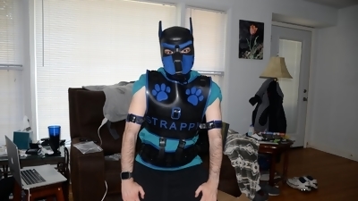Jun 24 2023 - Unboxing my blue Bronco & Magnus harness, and Pup Strappys first bork haha